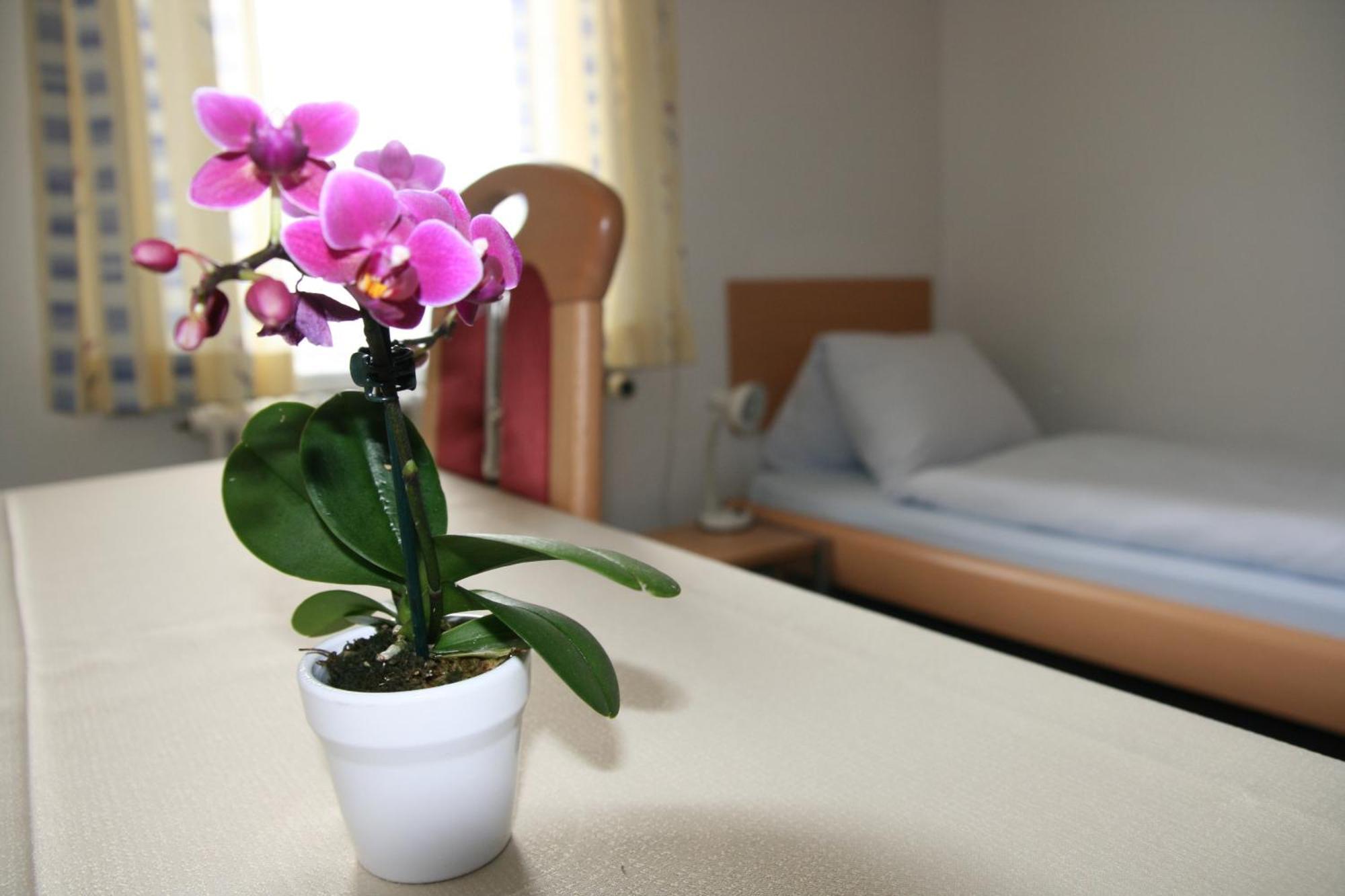 Hotel Glaernisch Hof Хорген Екстериор снимка